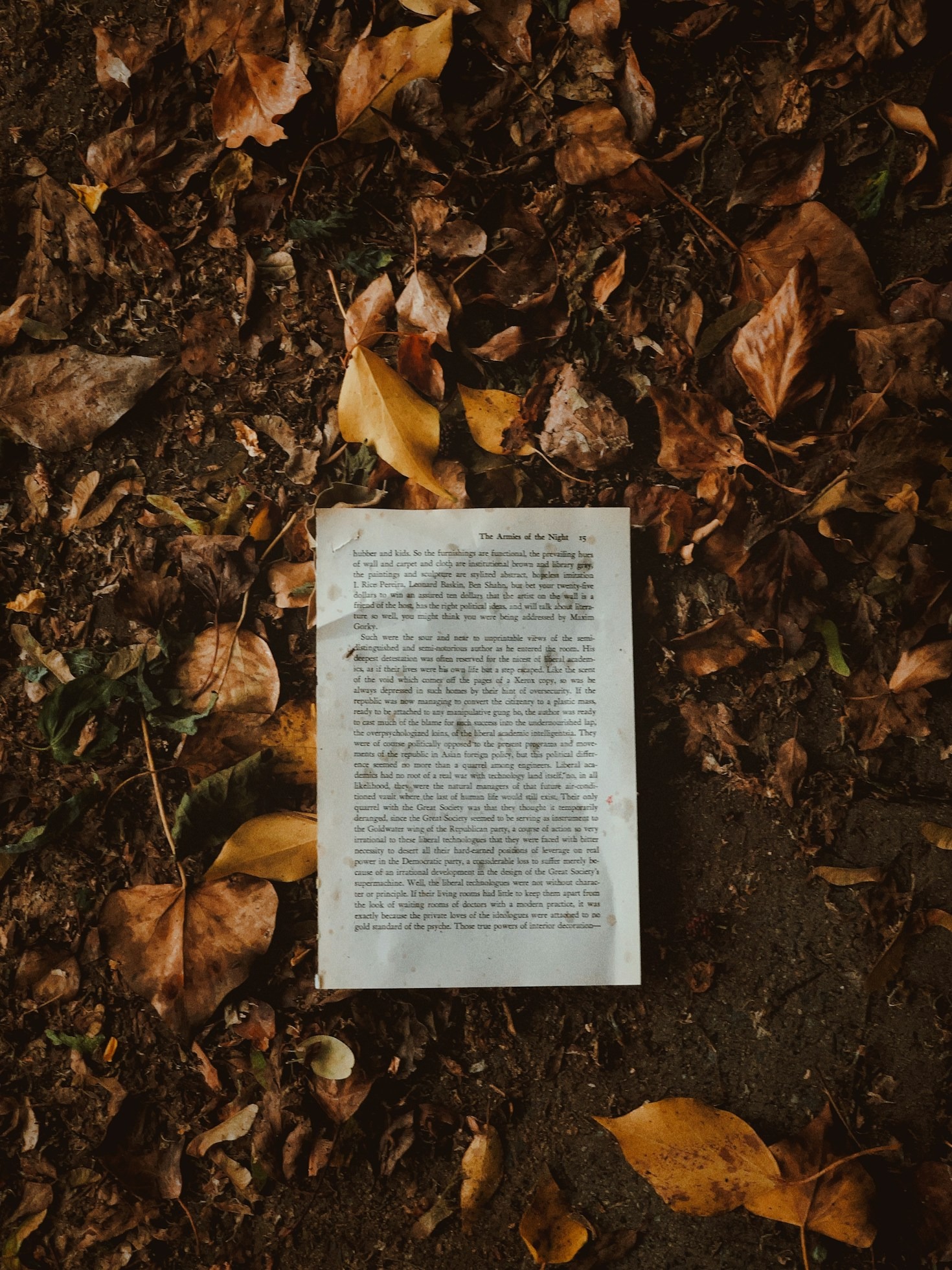Consejos para futuros escritores de fantasía